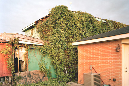 A-Moore-NY-Times-Jungleland